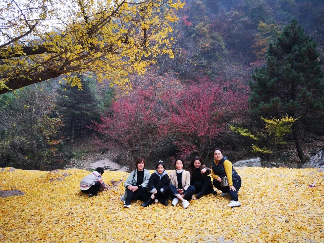 1618707139124487.jpg 微信圖片_20210418084645.jpg