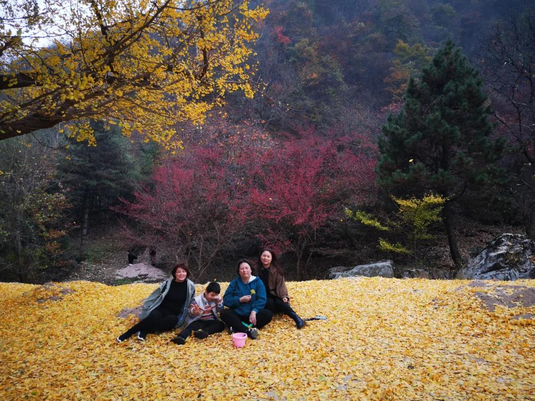 1618707151309225.jpg 微信圖片_20210418084649.jpg